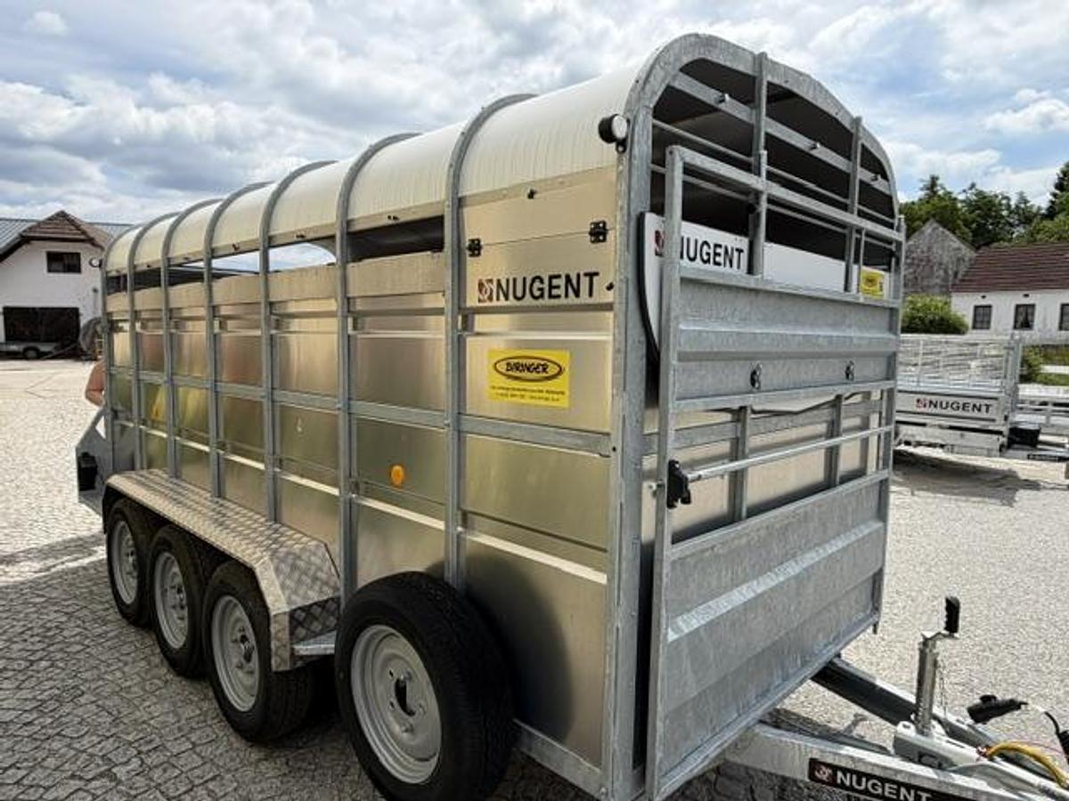 NUGENT LC4318T - im Zulauf