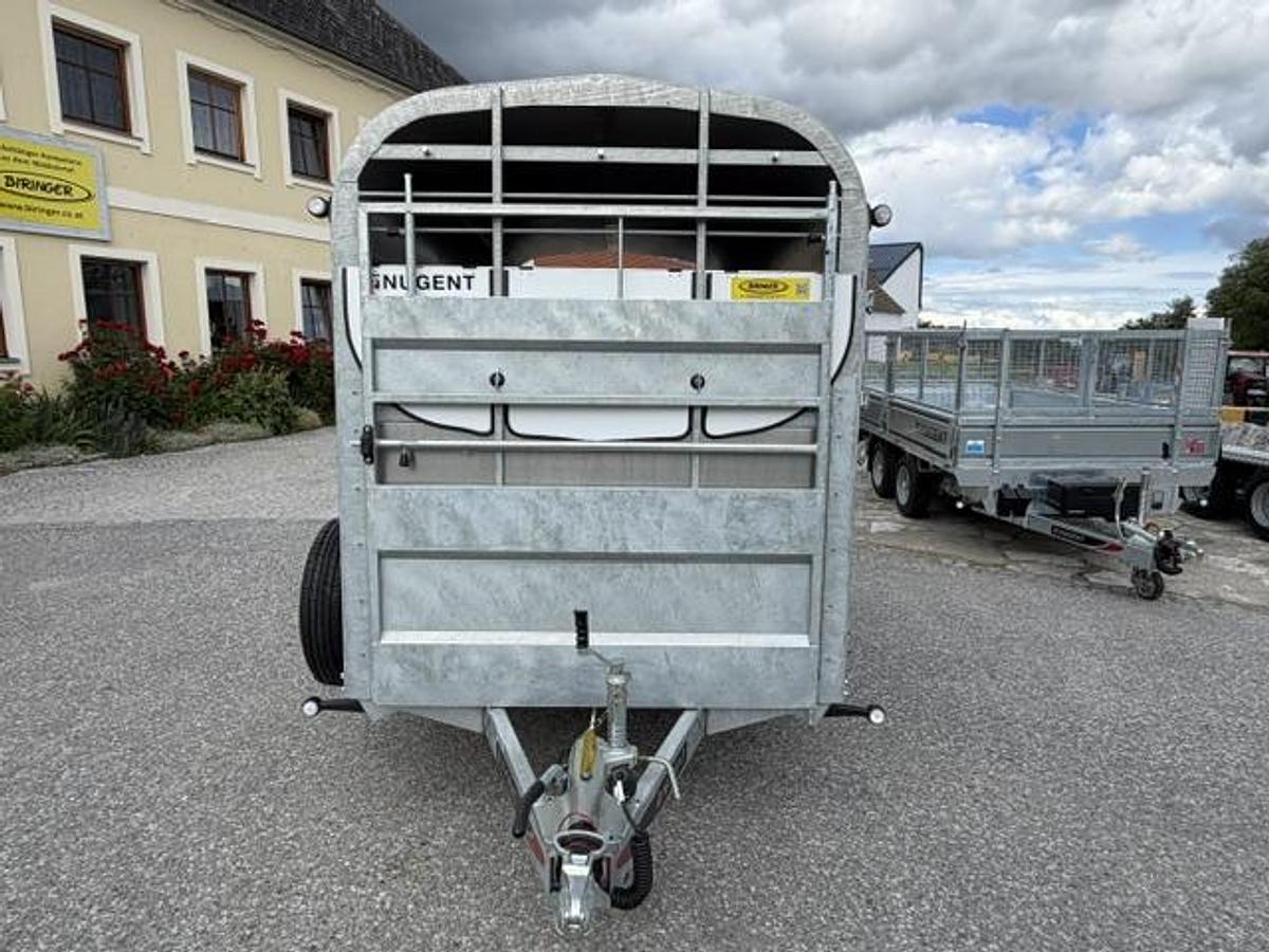 Nugent LC3015S - im Zulauf