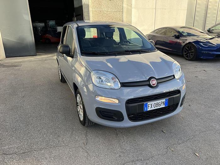 Usato 2019 FIAT PANDA 1.2