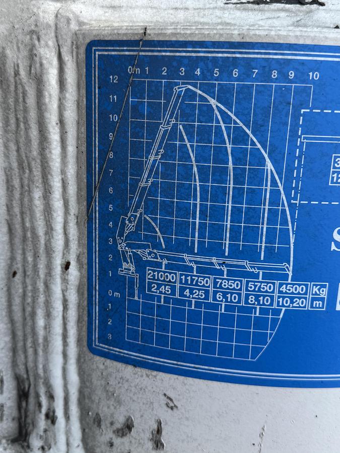 Usato 2009 DAF 460 CON GRU E RIMORCHIO