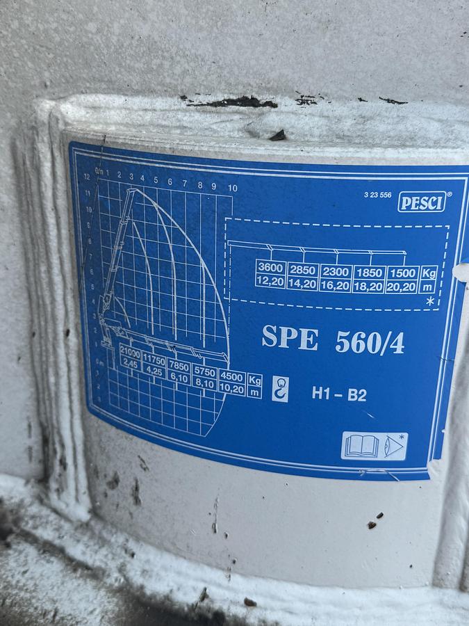 Usato 2009 DAF 460 CON GRU E RIMORCHIO