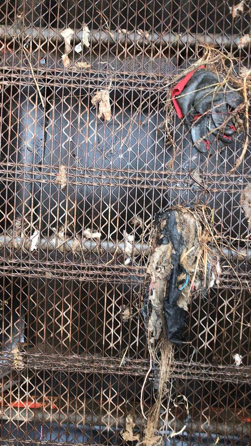 Usato 2018 FINLAY 873