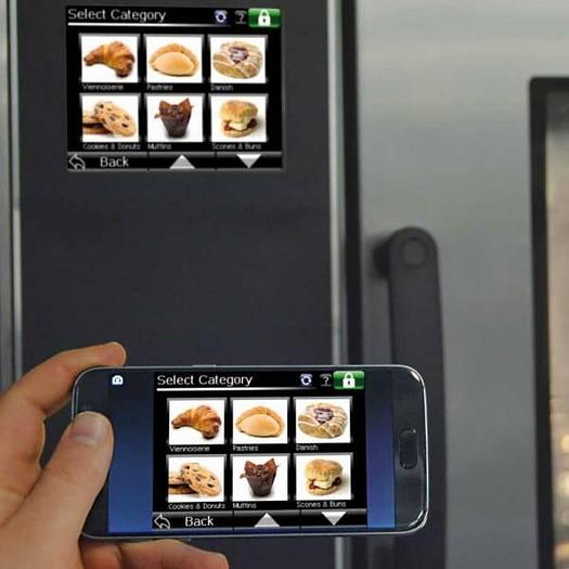 Mono Eco-Wash Self-Cleaning Convection Oven