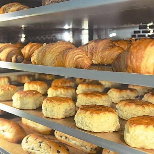 Mono Eco-Wash Self-Cleaning Convection Oven