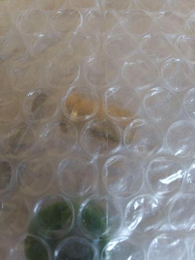 Markem imaje ENM41461 Belt Tensioner TT Kit