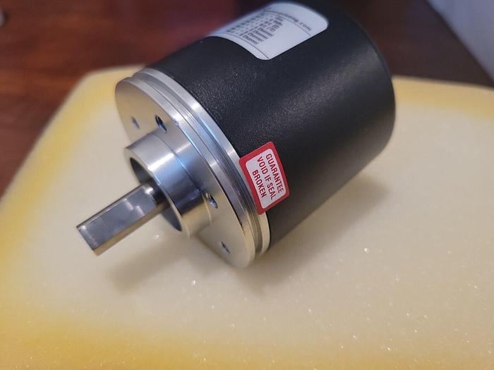 Domino 118733, DUK L014933