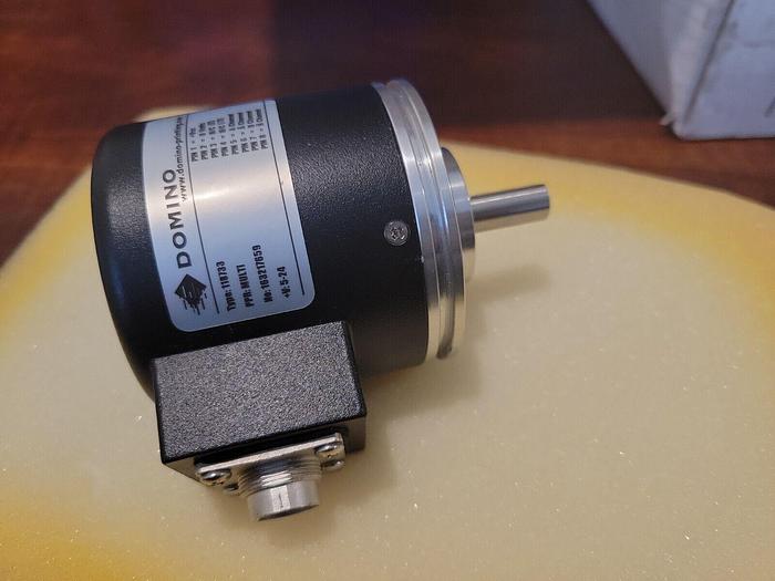 Domino 118733, DUK L014933