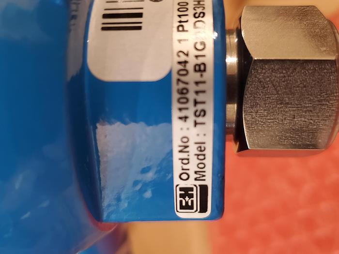 Endress Hauser TST11-B 1GDDS3HD10