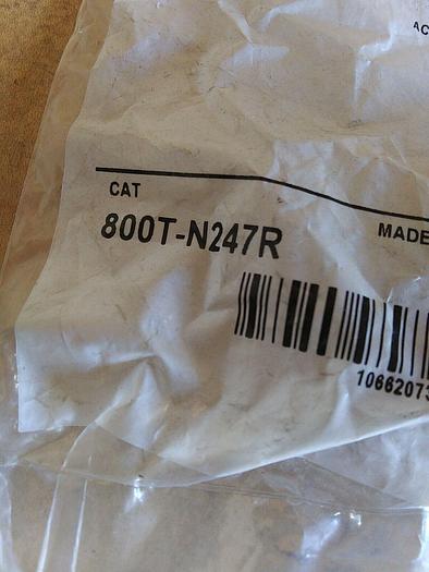 Allen Bradley 800T-N247R Mushroom Head Cap Red Non-illuminated