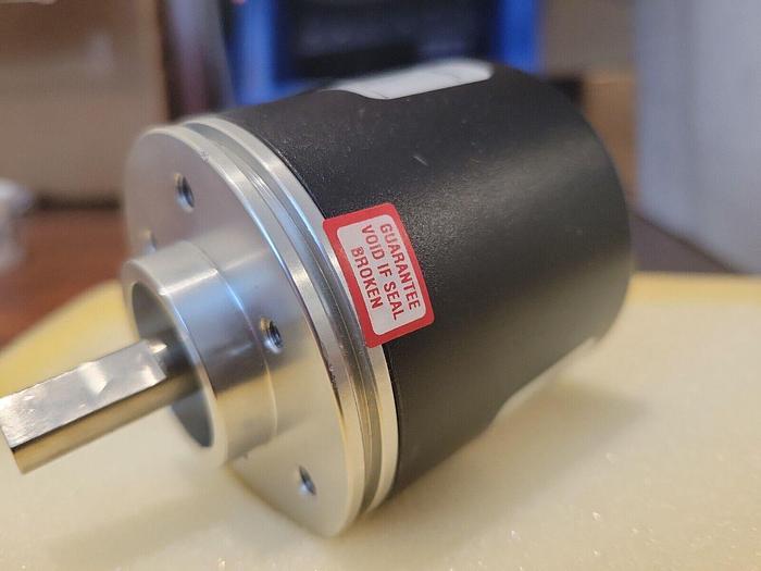 Domino 118733, DUK L014933