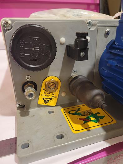 DROPSA 3902072 Dragon Electric Pump