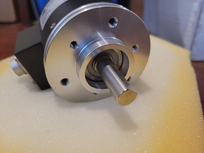 Domino 118733, DUK L014933