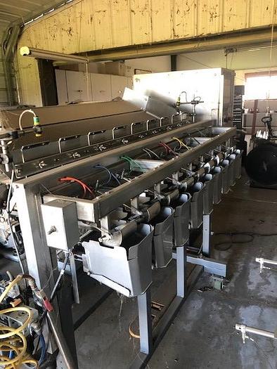 Used Fresh Pack Blueberry Packing Line