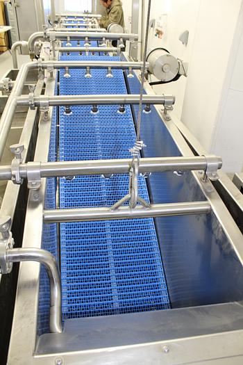 Used Charlies Machine Lettuce Wash Line