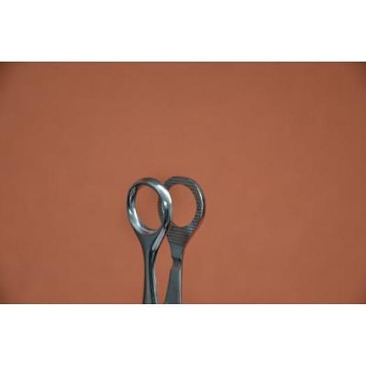 LABORDE TONGUE FORCEPS 12CM (TIRE-LANGUE DE LABORDE 12CM)
