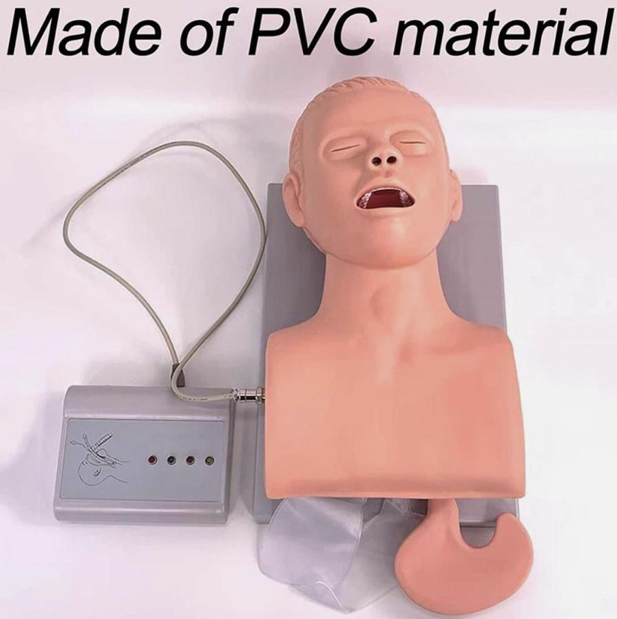 Adult Intubation Manikin Study Teaching Model Airway Management Trainer w/Tube