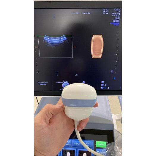 Used GENERAL ELECTRIC ECHOGRAPH Voluson E8 RSA BT19