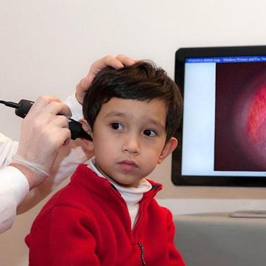 VIDEO OTOSCOPE '' FIREFLY ''