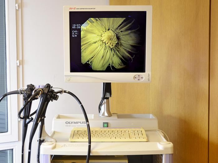 Used OLYMPUS DIGESTIVE ENDOSCOPY COLUMN