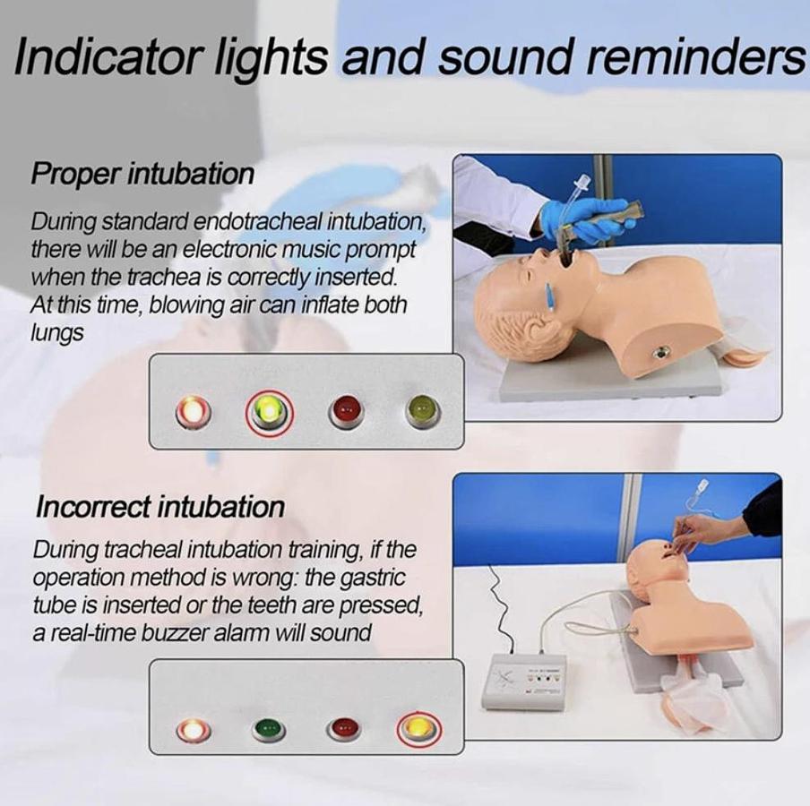 Adult Intubation Manikin Study Teaching Model Airway Management Trainer w/Tube