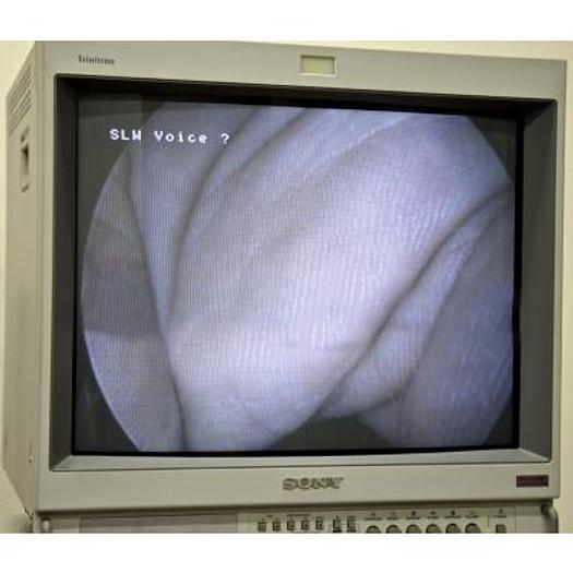 Used ORAL COLUMN FOR VOCAL CORD VISION DP MEDICAL STROBOVIEW 2000 MODEL AND SONY MONITOR