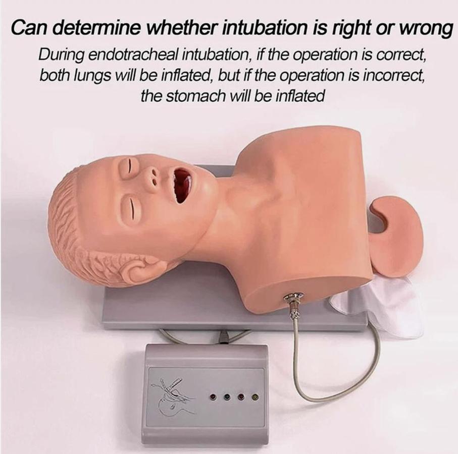 Adult Intubation Manikin Study Teaching Model Airway Management Trainer w/Tube