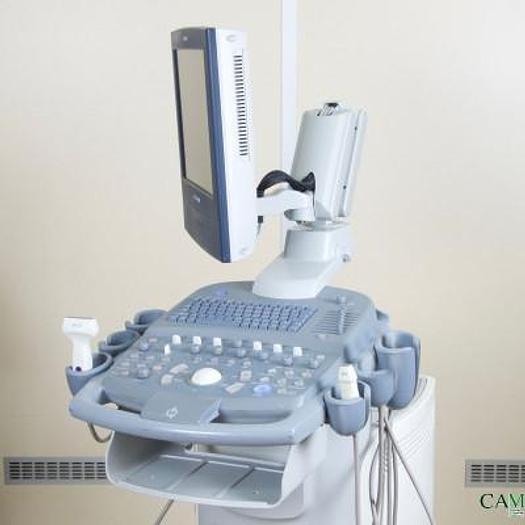 Used VETERINARY ULTRASOUND SIEMENS ACUSON X300 WITH 2 PROBES AND FLAT SCREEN