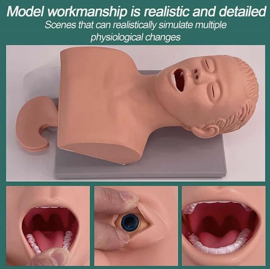 Adult Intubation Manikin Study Teaching Model Airway Management Trainer w/Tube