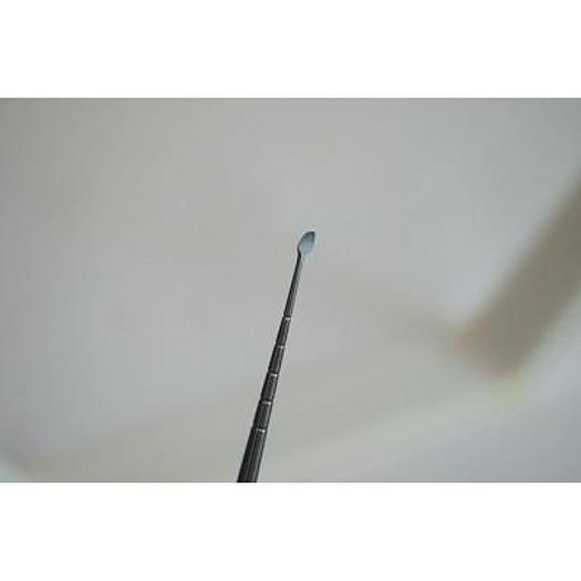 EAR AND SINUS RUGINE