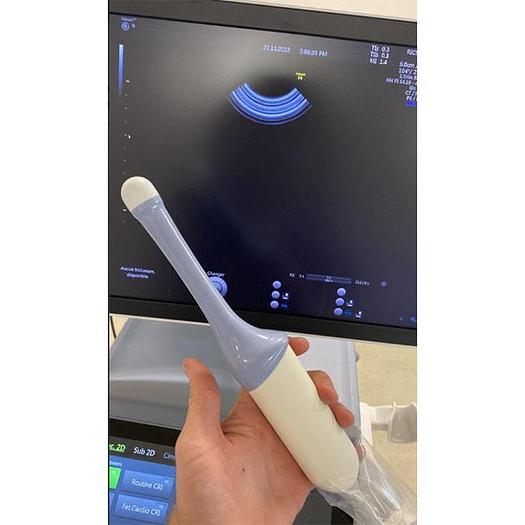 Used GENERAL ELECTRIC ECHOGRAPH Voluson E8 RSA BT19