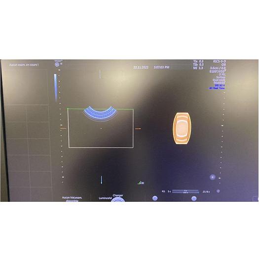 Used GENERAL ELECTRIC ECHOGRAPH Voluson E8 RSA BT19