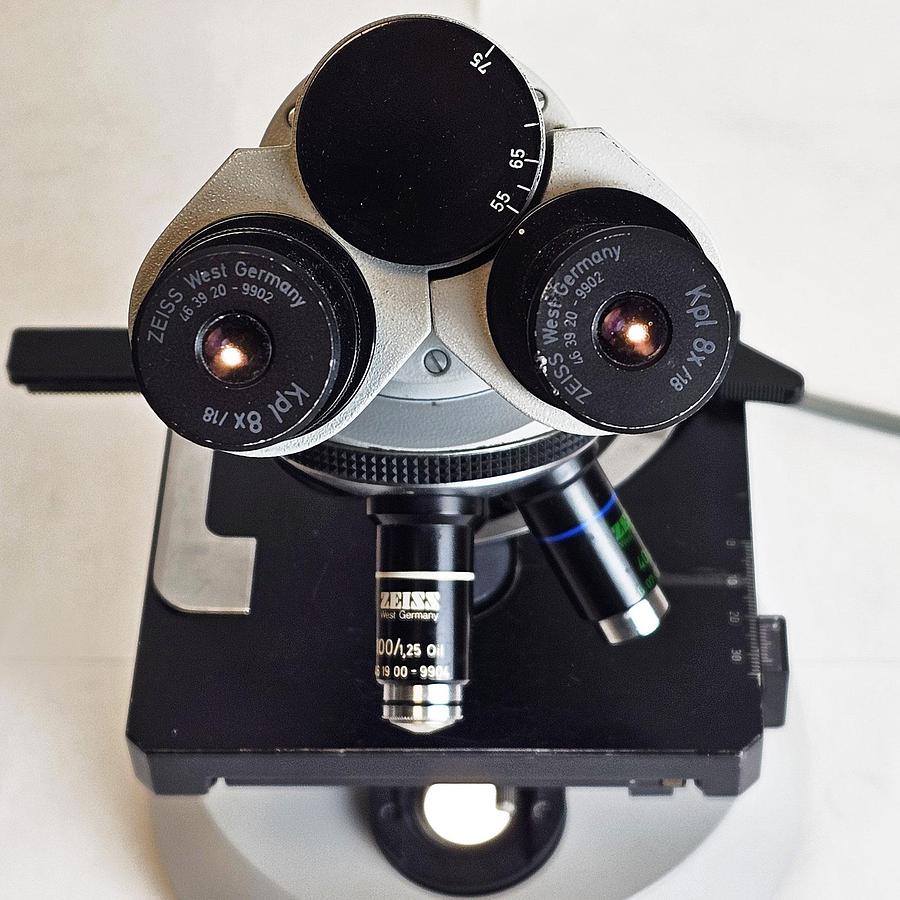 D'occasion CARL ZEISS NT6V/10W LABORATORY MICROSCOPE