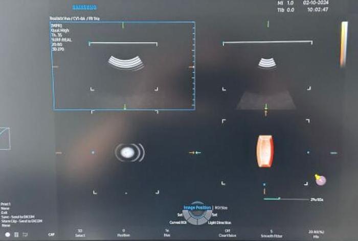 Used SAMSUNG HERA W9 