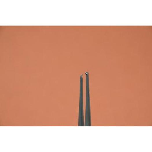 DISSECTION NIPPLE A/G FINE 13cm (TISSUE FORCEPS 1x2 TEETH FINE)