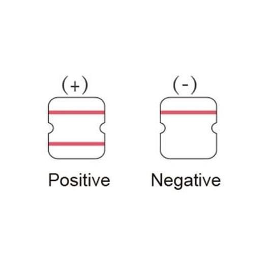COVID 19 RAPID ANTIGEN TESTS IN 15 MINUTES ( BATCH OF 100 )
