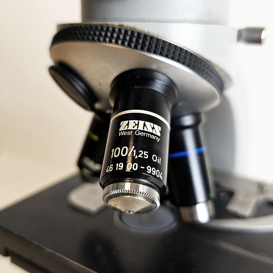 D'occasion CARL ZEISS NT6V/10W LABORATORY MICROSCOPE