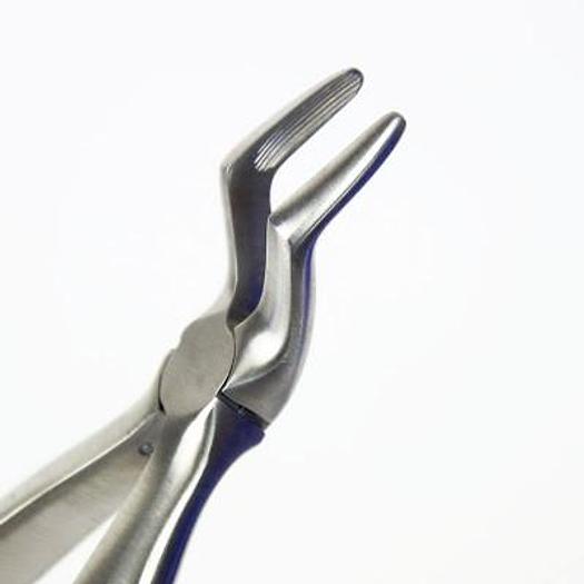 TOP ROOT PLIERS N°51A