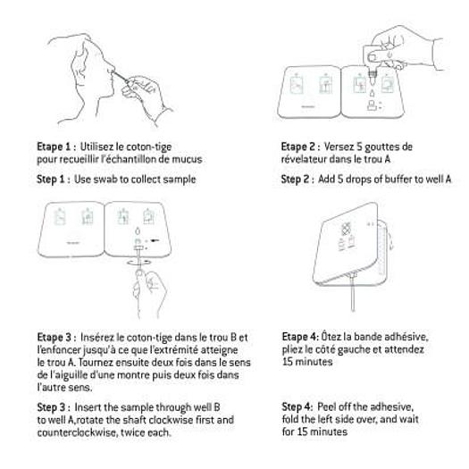 COVID 19 RAPID ANTIGEN TESTS IN 15 MINUTES ( BATCH OF 100 )