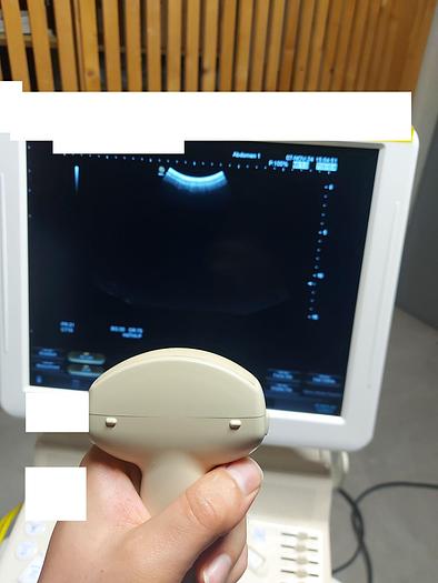 Used HITACHI HI VISION AVIUS ULTRASOUND with 2 probes