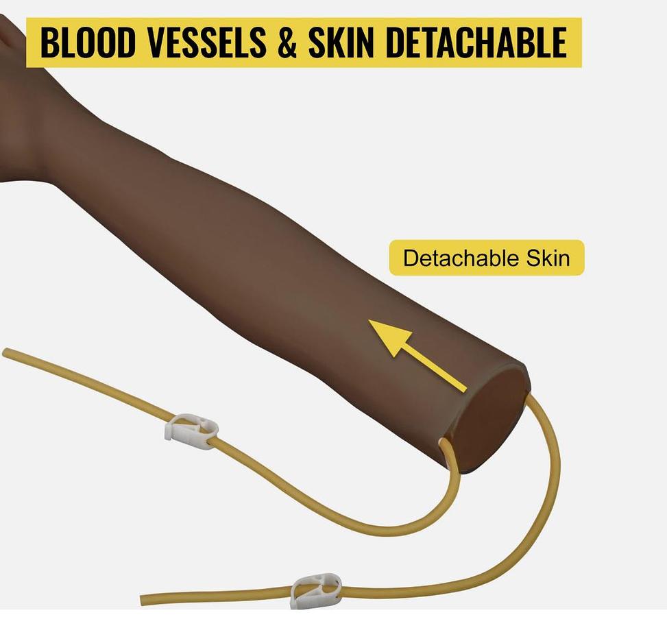 Kit de Bras de Pratique Intraveineuse
