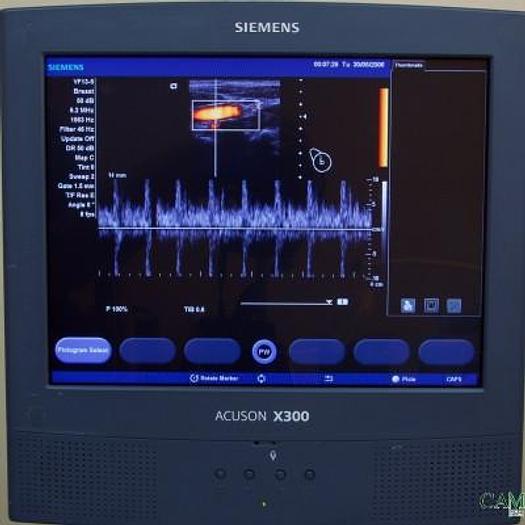 Used VETERINARY ULTRASOUND SIEMENS ACUSON X300 WITH 2 PROBES AND FLAT SCREEN