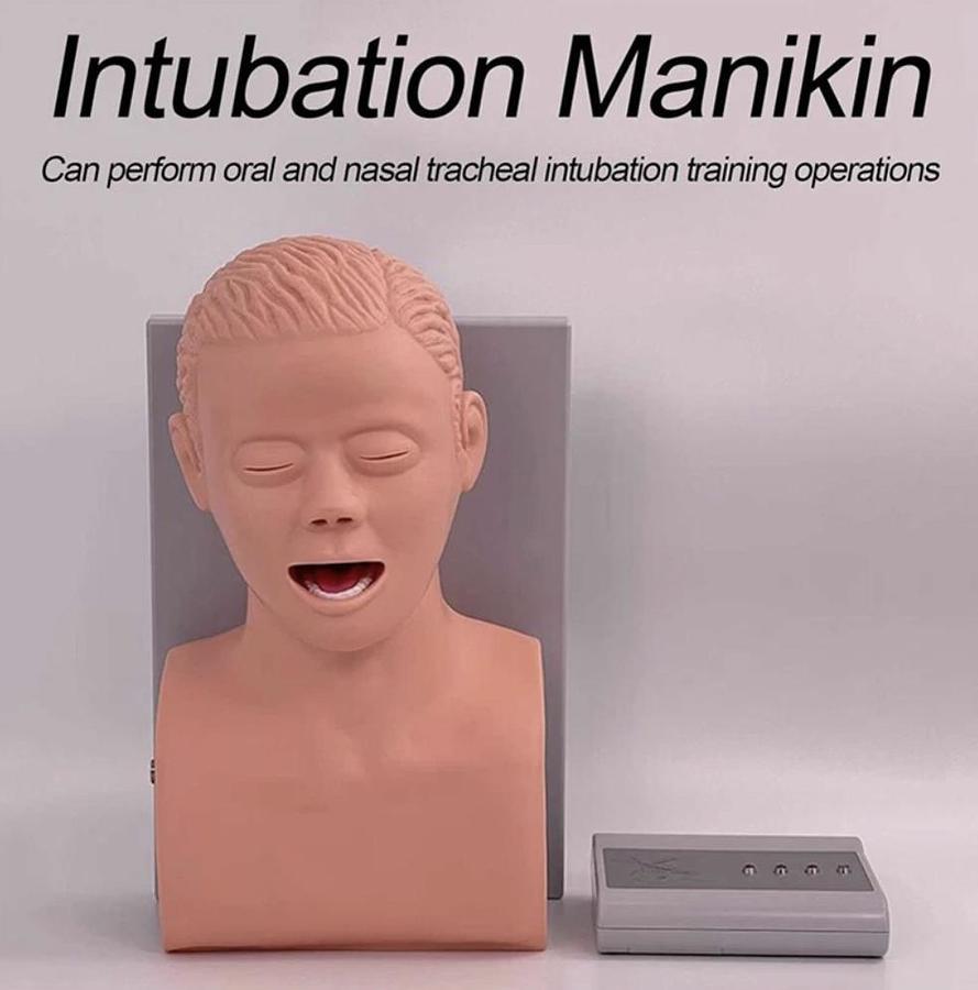 Adult Intubation Manikin Study Teaching Model Airway Management Trainer w/Tube