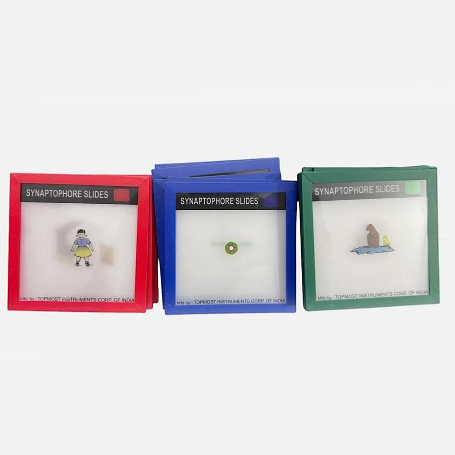 SYNOPTOPHORE SLIDES PACK OF 20 PIECES