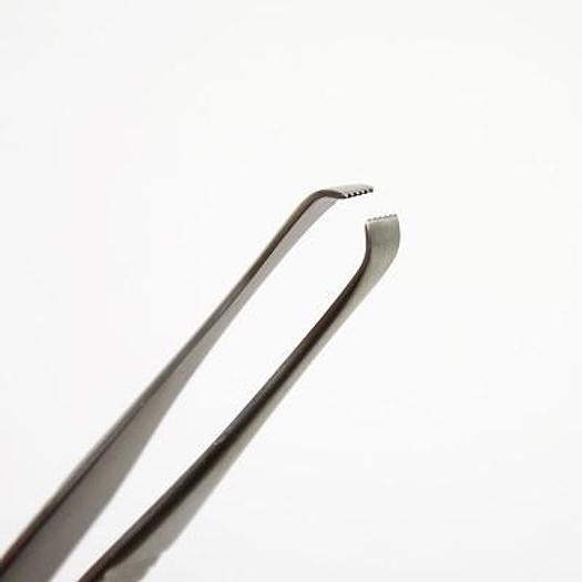 QUENU DISSECTION FORCEPS 25CM