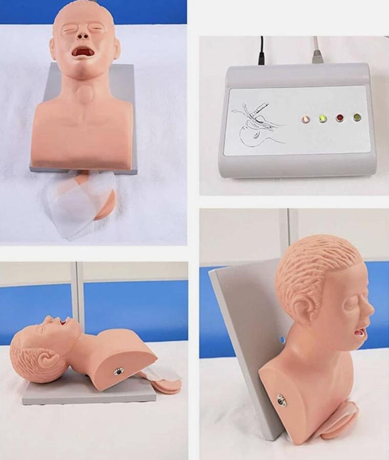 Adult Intubation Manikin Study Teaching Model Airway Management Trainer w/Tube