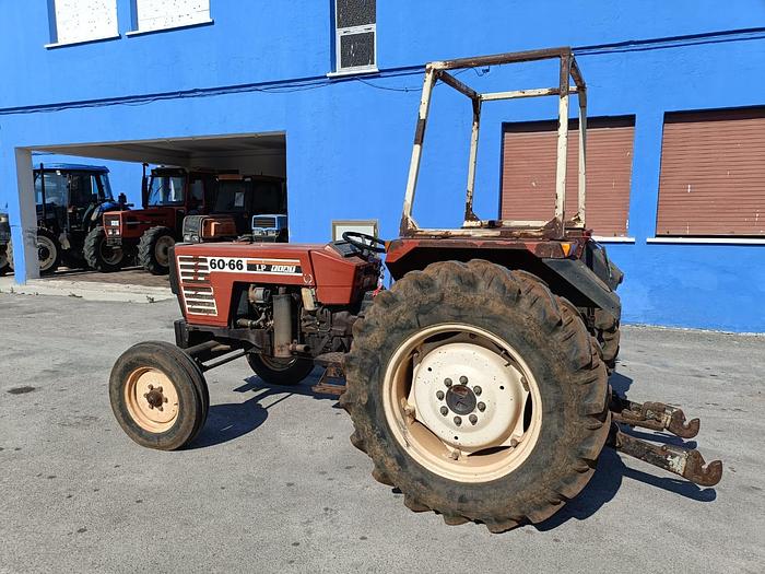 Usato Fiat 60 66 con idroguida