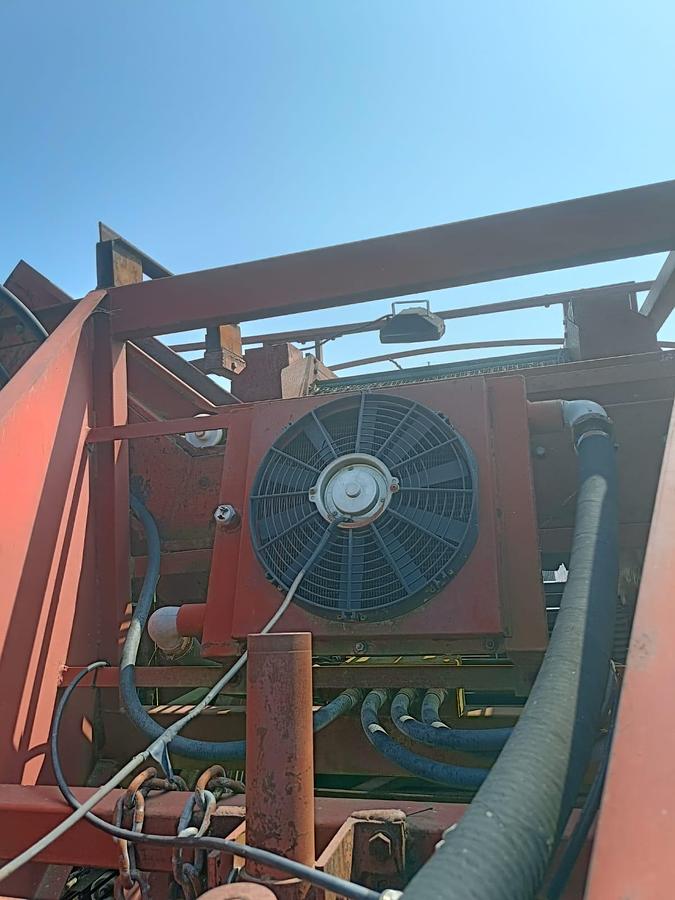 Usato Raccoglitrice Pomac trainata per patate, cipolle, aglio ecc