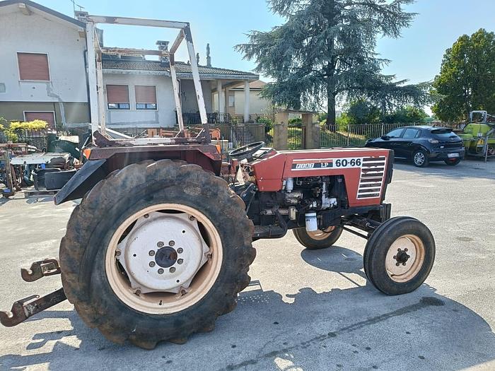 Usato Fiat 60 66 con idroguida