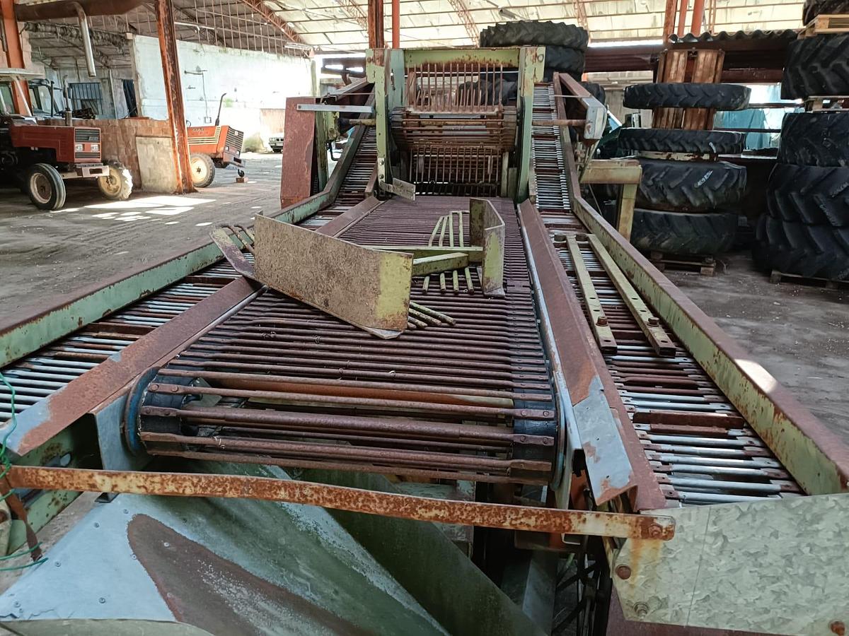 Usato Scavapatate marca Carlotti modello super 286