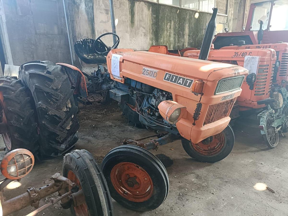 Usato fiat 250 frizione da fare